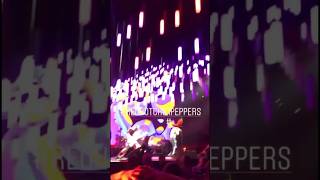 Red Hot Chili Peppers AMAZING Light Show &quot;Goodbye Angels&quot; @bladerope