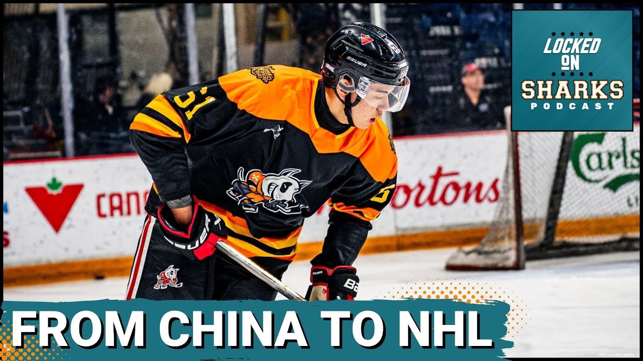 Will Haoxi Wang Be the MISSING PIECE From China To The San Jose Sharks' Defense?