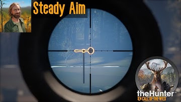 Steady Aim theHunter Call of the Wild