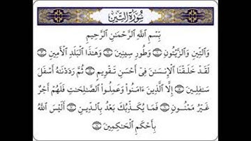 سورة التيــن .... {