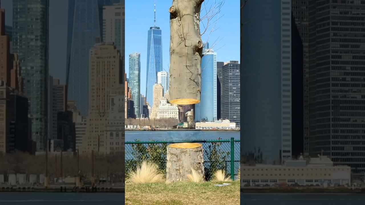 До конца 🔥🔥🔥 