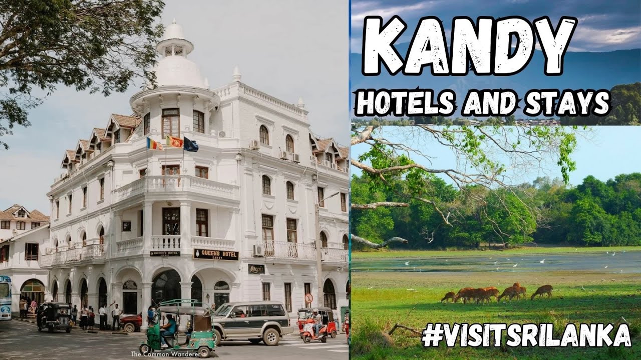 🌴 Discover the Best Hotels in Kandy, Sri Lanka | Top Accommodation & Travel Tips 2025 🏨