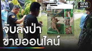 รวบหนุ่มจับลิงป่าข้างบ้านขายออนไลน์ | ข่าวเที่ยงช่องวัน | สำนักข่าววันนิวส์