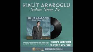 HALİT ARAPOĞLU -AYRILIK Resimi