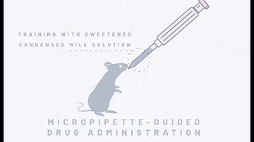 Development and validation of the MDA procedure - Extended Interview