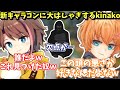 【APEX】新キャラコンをめちゃめちゃに楽しむきなこ達【kinako/渋谷ハル/バーチャルゴリラ】