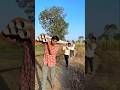 Wait for end #pipeline#harshbhau #kisan#khetikisani#gaonkefunnyvideo#gaonkijindagi#0001