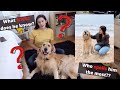 DOG Q&amp;A | Get to know Salvi + Tricks