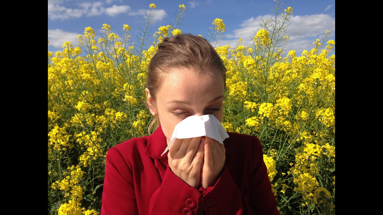 Allergy Season YouTube