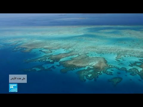فيديو: ما هو الحاجز المرجاني العظيم
