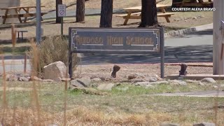 Ruidoso Municipal Schools prepares for school year during monsoon season