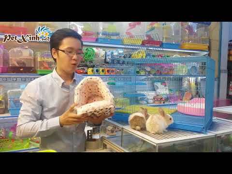 Hướng dẫn thiết kế chuồng & chọn quần áo cho Thỏ Kiểng
