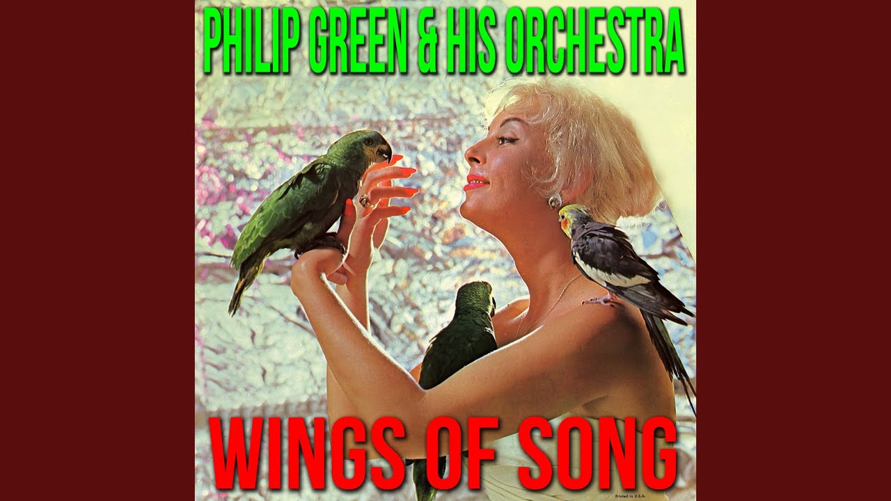 Cry of the Wild Goose