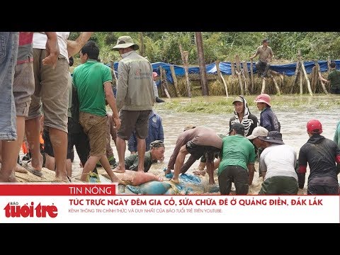 Video Túc trực ngày đêm gia cố, sửa chữa đê ở Quảng Điền,... - youtube