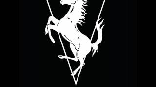 Patrick Pulsinger  - viagem