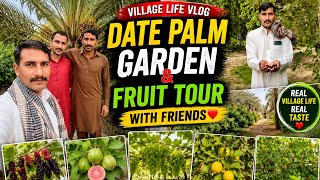 Date Palm Garden & Fruit Tour with Friends | Mulberry, Guava, Grapes & Lemon Farm Vlog