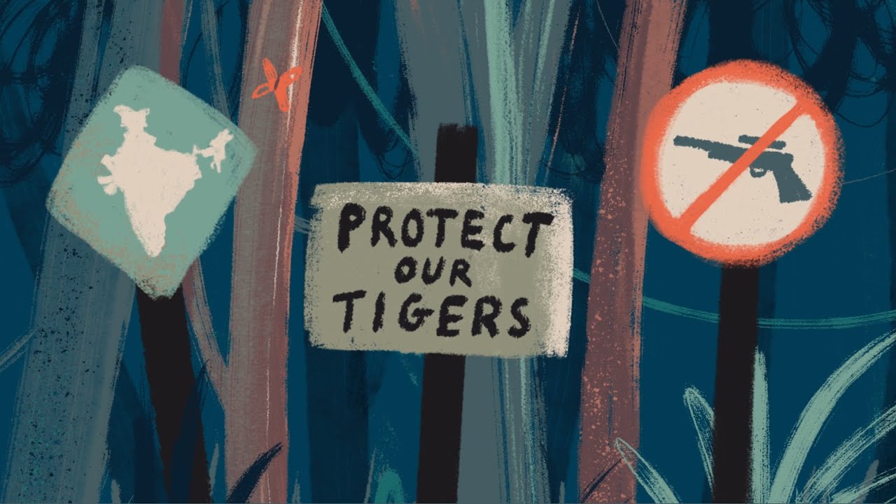 WWF Asia Pacific A Future for Malayan Tigers - YouTube