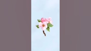 تلاوة ندية من  سورة يوسف 🌷💧