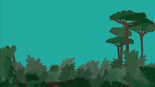 deforestation 1