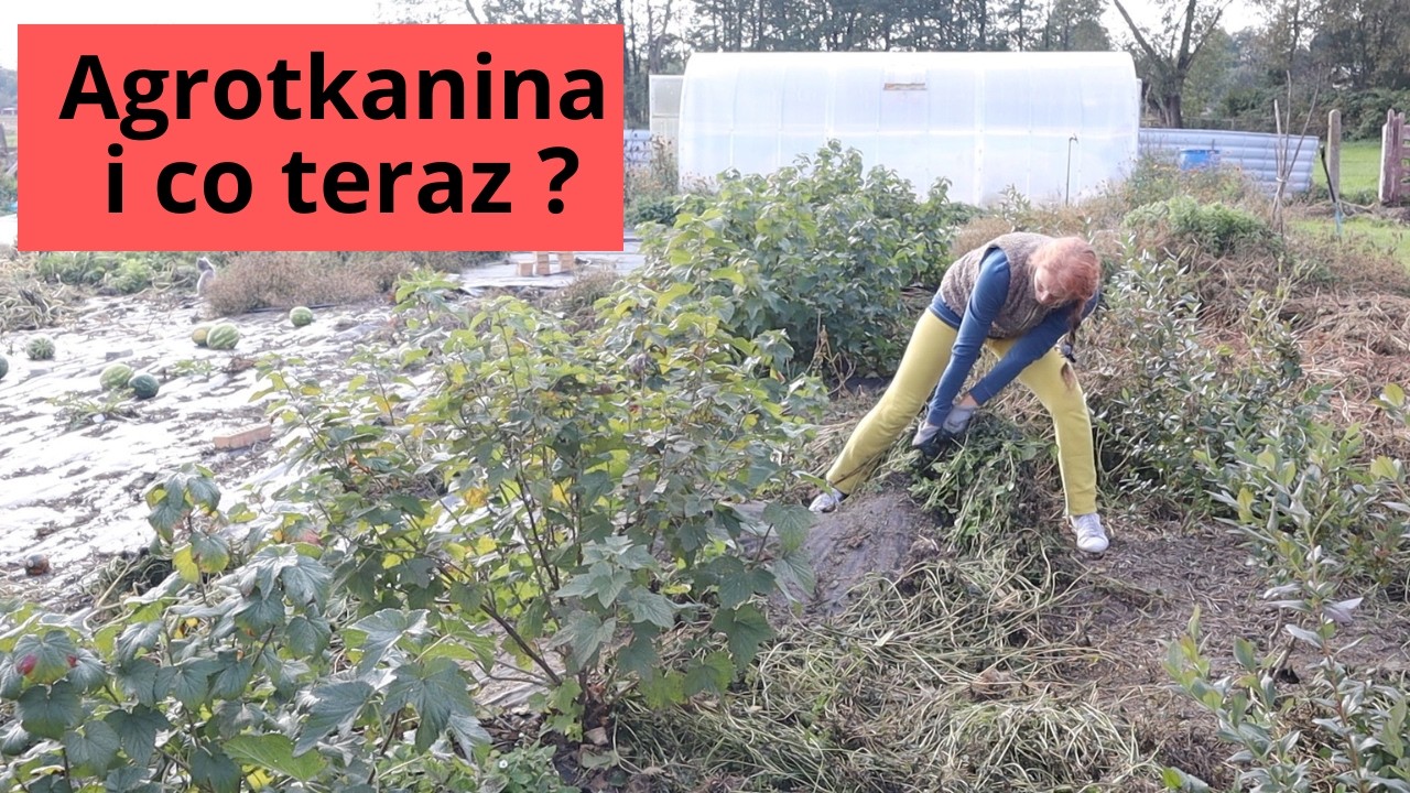 Wrośnięta agrotkanina/agrowłóknina. Myślę, że zadziałam w ten sposób ...