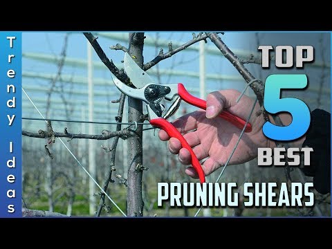 Video: Pruner (50 Photos): What Is It? Professional Garden Pruner For Pruning Branches From Trees, Features Of The Lowe And Samurai, Felco And ARS Models
