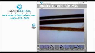 SmartMicroScope -- Using the Measurement Feature