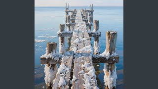 Salty Pier Wood