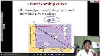 Survivorship curve