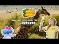 Giraffe Facts Mp3 Song
