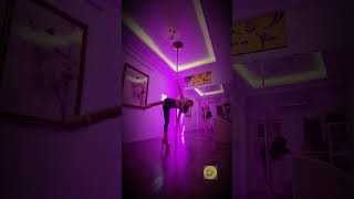 [Pole dance] PARTITION - Beyonce - Vietnamese Pole Dancing