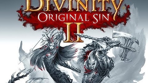Divinity: Original Sin 2 Definitive Edition: Episode 25 - Meister