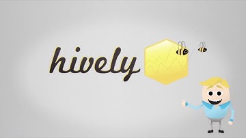 Hively Customer Feedback