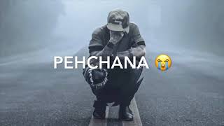Tere paas tha toh tab tujhe na Jana WhatsApp status