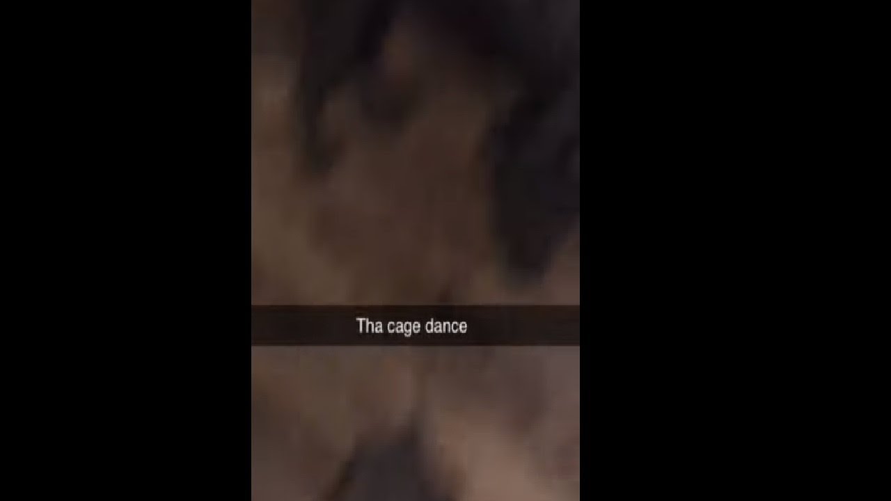 The Cage Song 😂😂