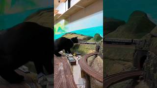 列車を見守る巨大黒猫ちゃんがカワイイ