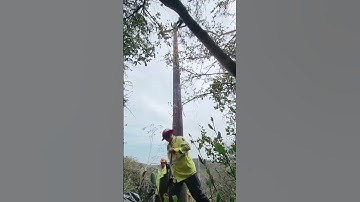 Setting Utility Pole  Credits texasleprechaun21