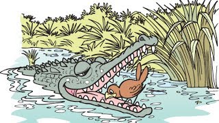 Cerita Buaya dan Burung Bernyanyi #DongengPengantarTidur #MenaraDongeng