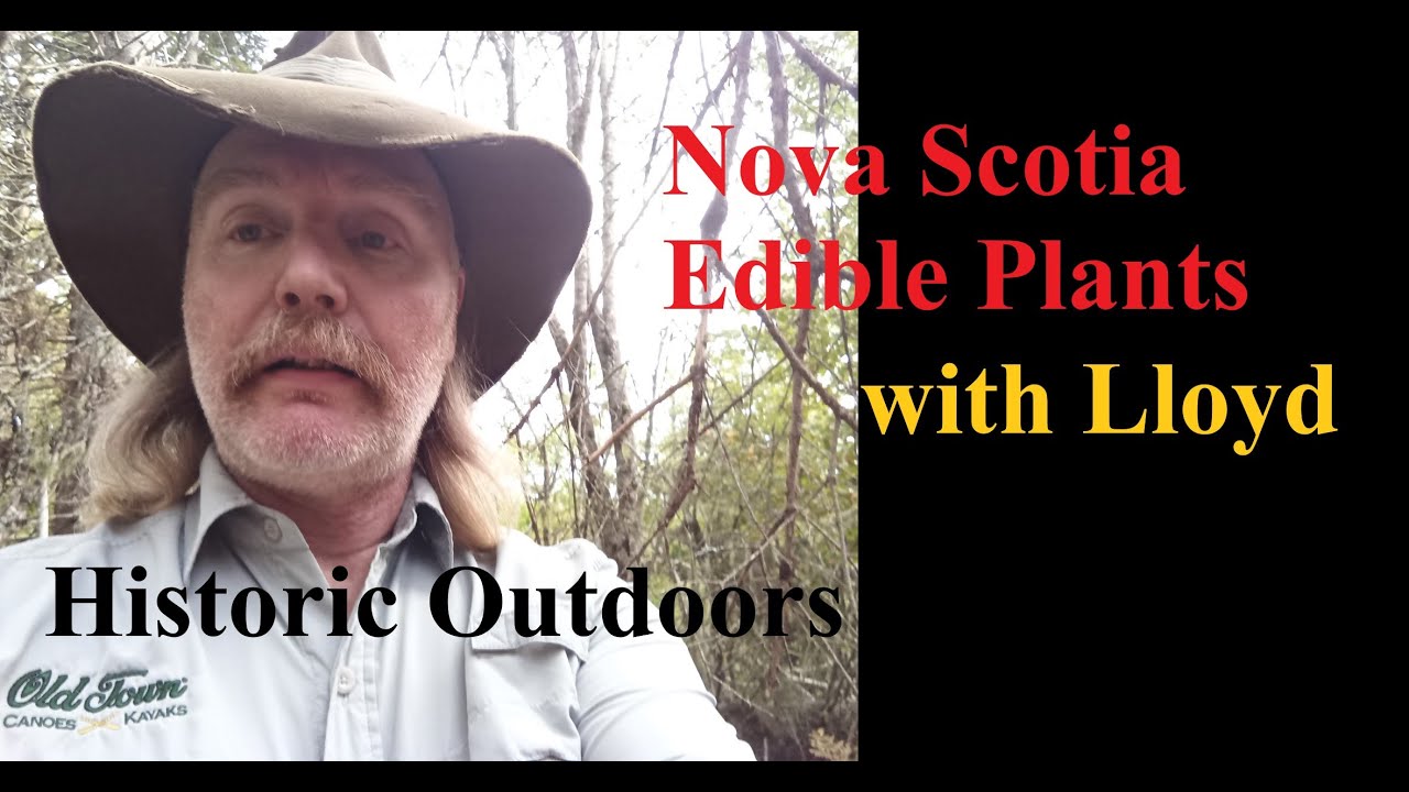 Nova Scotia edible plants YouTube