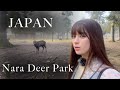 朝の奈良が神々しい 奈良で感じる日本の美に感動 【外国人の反応】