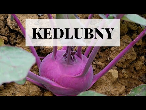 Video: Kedlubny: Letní Plodiny