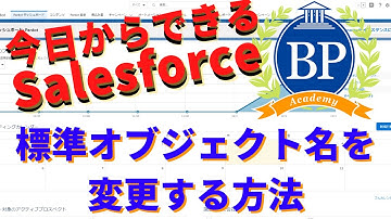 【今日からできるSalesforce】標準オブジェクト名を変更する方法