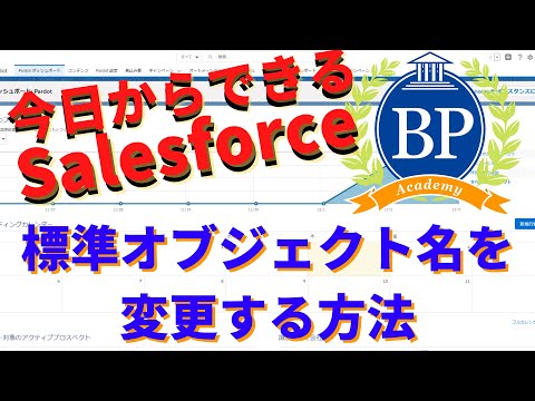 【今日からできるSalesforce】標準オブジェクト名を変更する方法