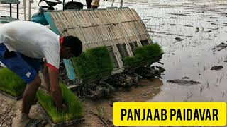 ਝੋਨਾ ਲਾਉਣ ਵਾਲੀ ਮਸ਼ੀਨ ਹਰਵੀਰ ਨਰਸਰੀ ਹਰਿਆਣਾ ਵਾਲਿਆਂ ਦੇ ਫਾਰਮ ਤੇ। Panjaab Paidabar। Harveer Nursery। Sukhi