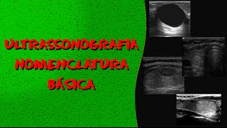 Videoaula RADIOLOGIA Nomenclatura ultrassonografica basica