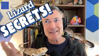 Give Me a Break - Lizard Tails That Detach and Regrow?
