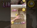 How Water Damage Ruins Render