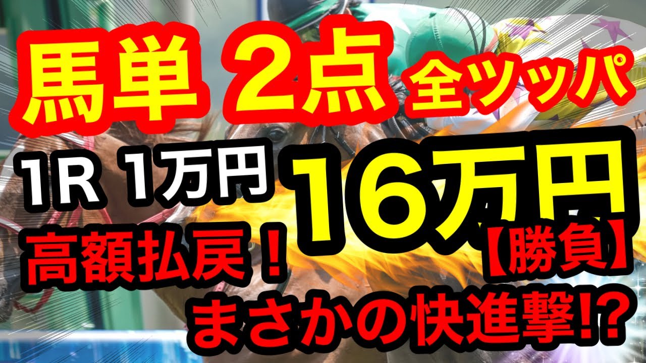 【16万円勝負】馬単たった2点に1R1万円ずつ全ツッパ！少点数勝負で高額払戻炸裂⁉︎ 【競馬馬券勝負】