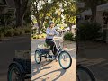 Relaxed Body750 watt Electric Tricycle