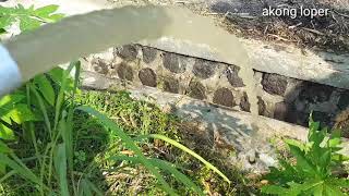 Sibel 0,25 Hp Selva Kesing 3 Dim Kluar Air 34 Info Hrga Wa 6288805383258