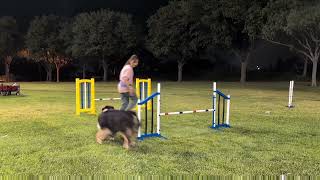 Bear FP Skill Proof Lesson 1 & 2